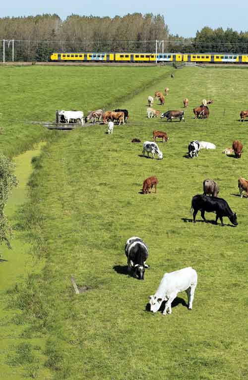Vlaardingen, Aalkeet-Binnenpolder