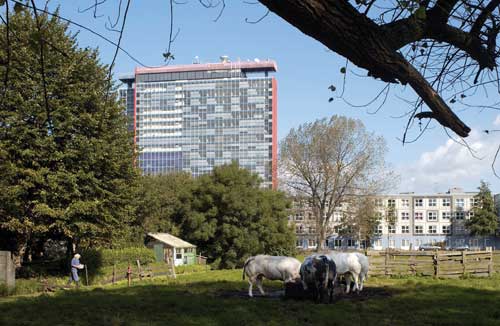 Delft Zuid