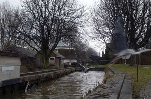 Delftse Hout