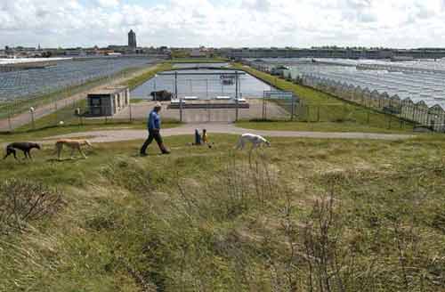 Ter Heijde, gemaal Vlotwatering