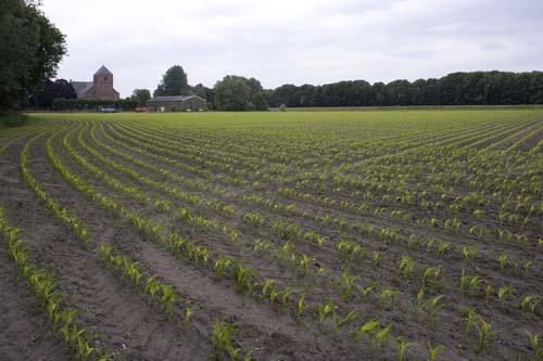 Raamsdonk - Lambertuskerk  border=